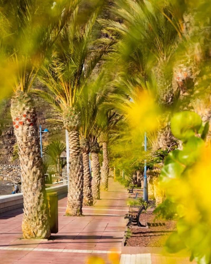 El Balcon De Colon Daire San Sebastián de la Gomera Dış mekan fotoğraf